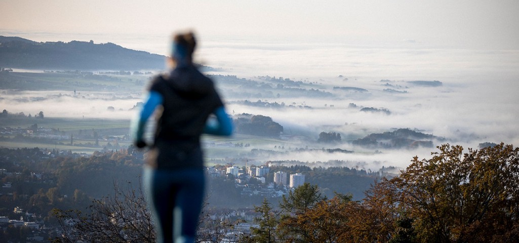 Regionaler Wirtschaftspartner