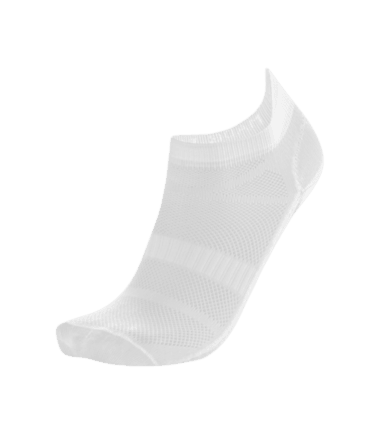 26025100.png